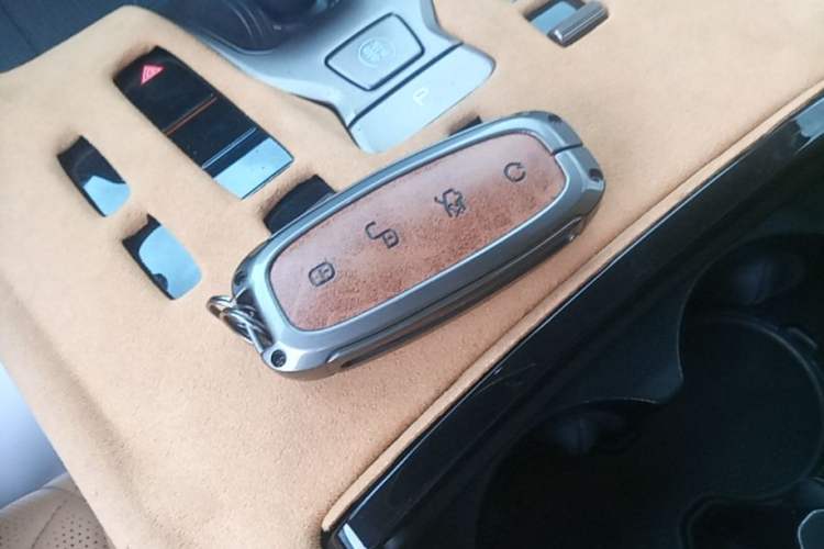 Used Denza D9 2022 DM-i 970 Four-Wheel Drive Flagship Model Interior 1
