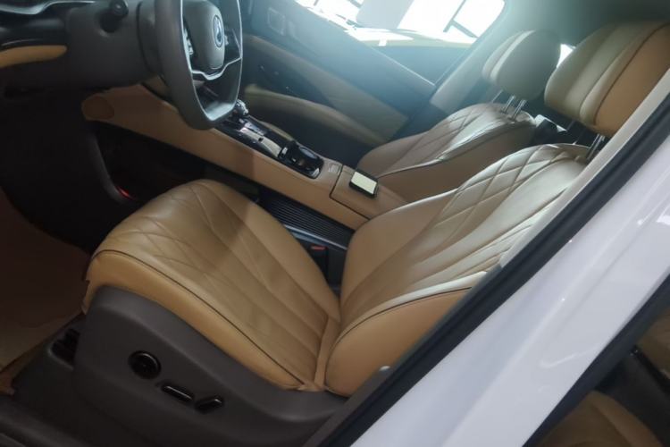 Used Denza D9 2022 DM-i 970 Four-Wheel Drive Prestige Model Left Front Seat