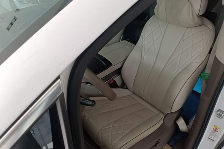Used Denza D9 2022 DM-i 970 Four-Wheel Drive Prestige Model Left Front Seat