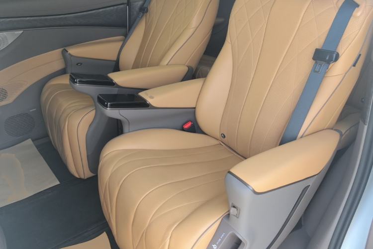 Used Denza D9 2022 DM-i 1040 Prestige Model Left Rear Seat