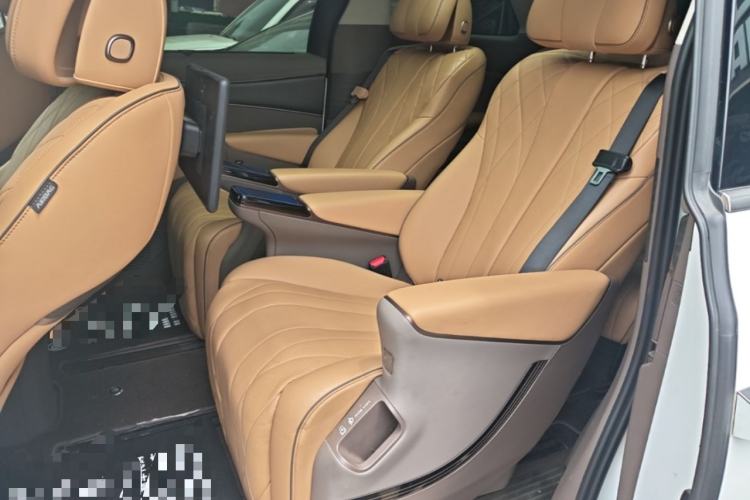 Used Denza D9 2022 DM-i 970 Four-Wheel Drive Flagship Model Left Rear Seat