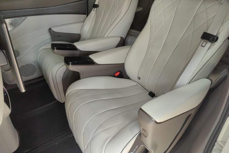 Used Denza D9 2022 DM-i 970 Four-Wheel Drive Prestige Model Left Rear Seat