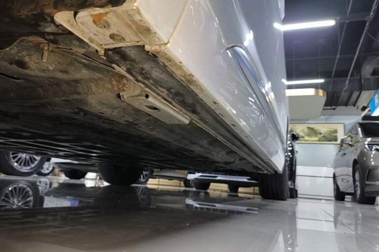 Used Denza D9 2022 DM-i 1040 Prestige Model Left Side Sill