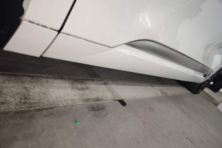 Used Denza D9 2022 DM-i 970 Four-Wheel Drive Flagship Model Left Side Sill