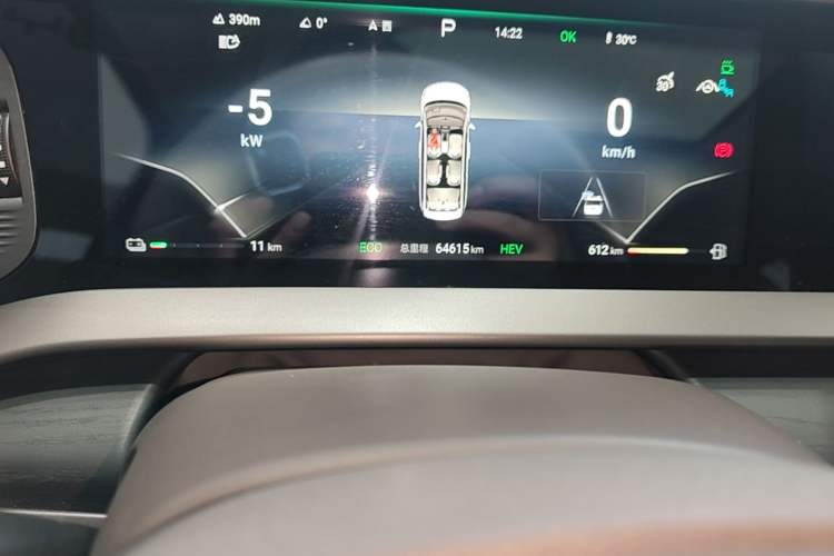 Used Denza D9 2022 DM-i 970 Four-Wheel Drive Flagship Model Odometer Close Up