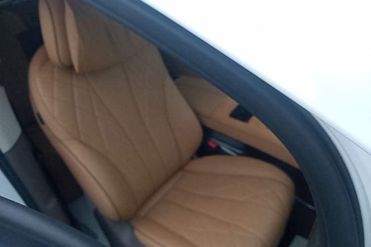 Used Denza D9 2022 DM-i 970 Four-Wheel Drive Flagship Model Right Front Seat