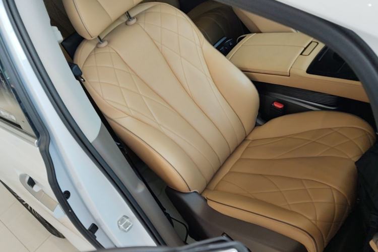Used Denza D9 2022 DM-i 970 Four-Wheel Drive Prestige Model Right Front Seat