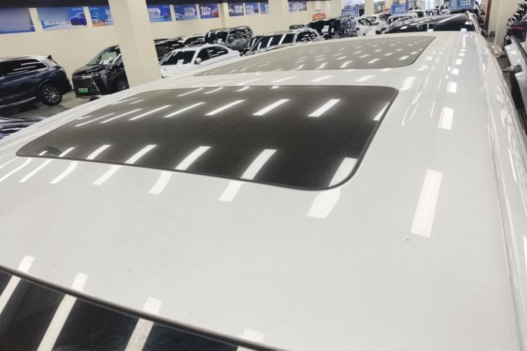 Used Denza D9 2022 DM-i 970 Four-Wheel Drive Flagship Model Roof