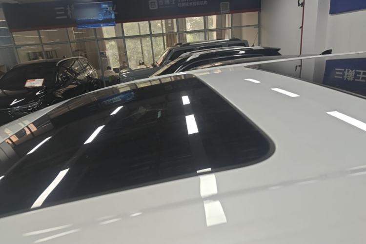Used Denza D9 2022 DM-i 1040 Prestige Model Roof