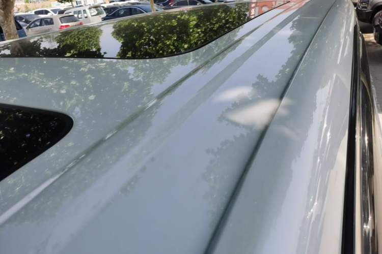 Used Denza D9 2022 DM-i 1040 Prestige Model Roof