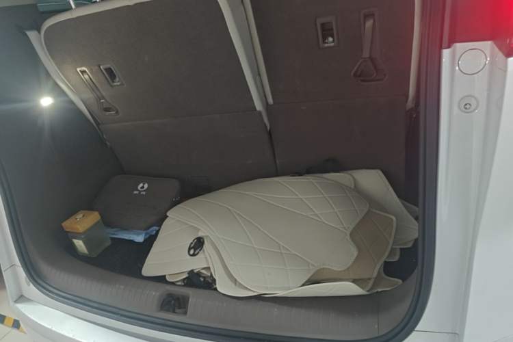 Used Denza D9 2022 DM-i 1040 Prestige Model Trunk