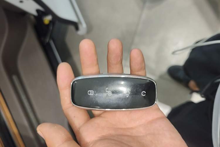 Used Denza D9 2022 DM-i 970 Four-Wheel Drive Flagship Model Vehicle Key