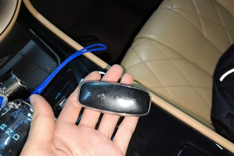 Used Denza D9 2022 DM-i 1040 Prestige Model Vehicle Key