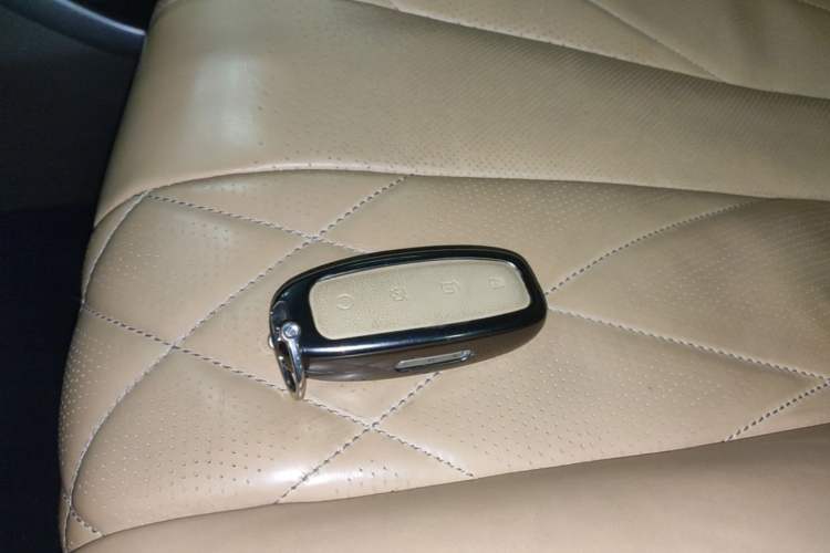 Used Denza D9 2022 DM-i 970 Four-Wheel Drive Prestige Model Vehicle Key