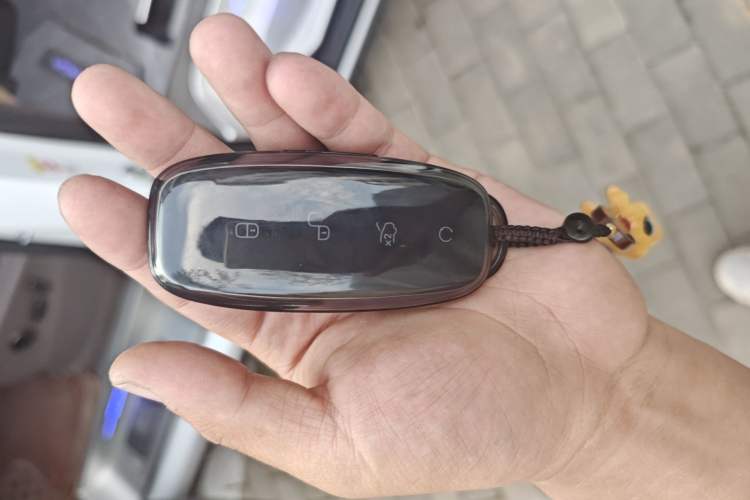 Used Denza D9 2022 DM-i 1040 Prestige Model Vehicle Key
