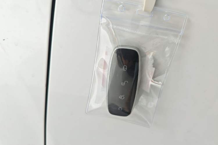 Used Denza D9 2022 DM-i 1040 Prestige Model Vehicle Key