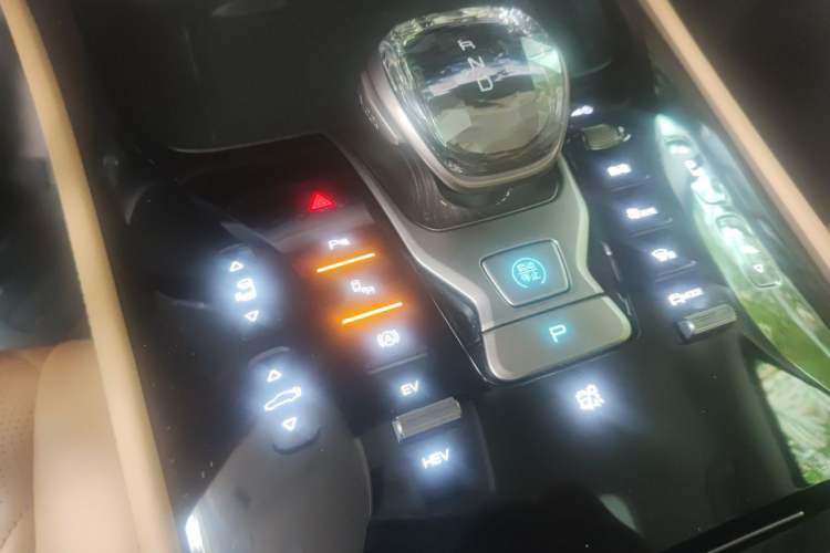 Used Denza D9 2022 DM-i 1040 Prestige Model Vehicle Key