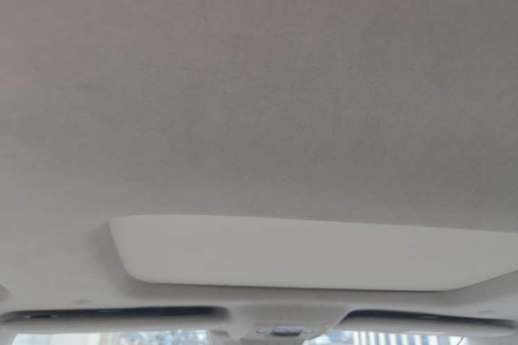 Used Denza D9 2022 DM-i 970 Four-Wheel Drive Flagship Model Headliner