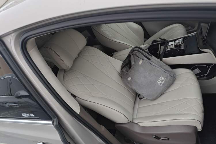 Used Denza D9 2022 DM-i 970 Four-Wheel Drive Flagship Model Right Front Seat