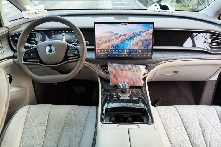 Used Denza D9 2023 DM-i 965 Luxury Model Center Console