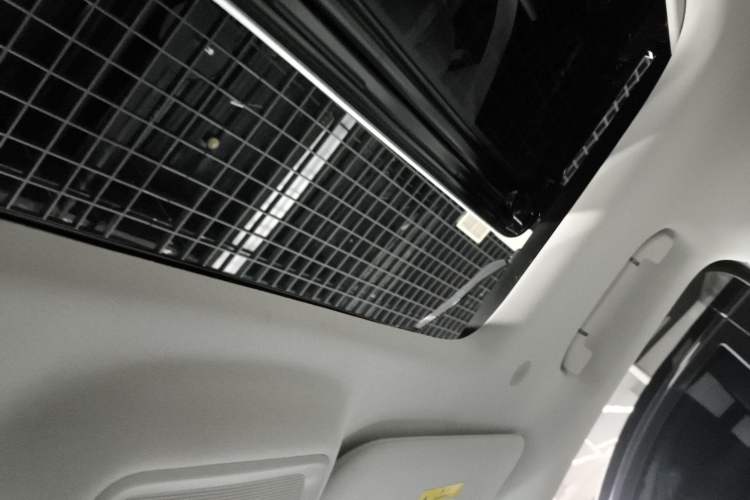 Used Denza D9 2023 DM-i 965 Luxury Model Headliner