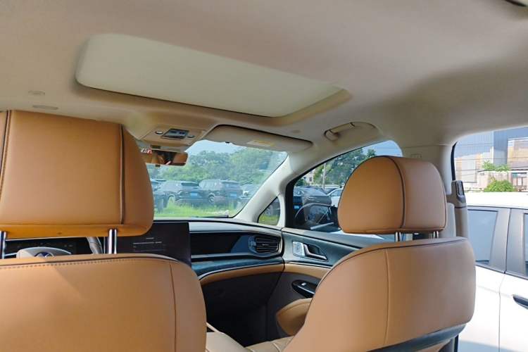 Used Denza D9 2023 DM-i 965 Luxury Model Headliner