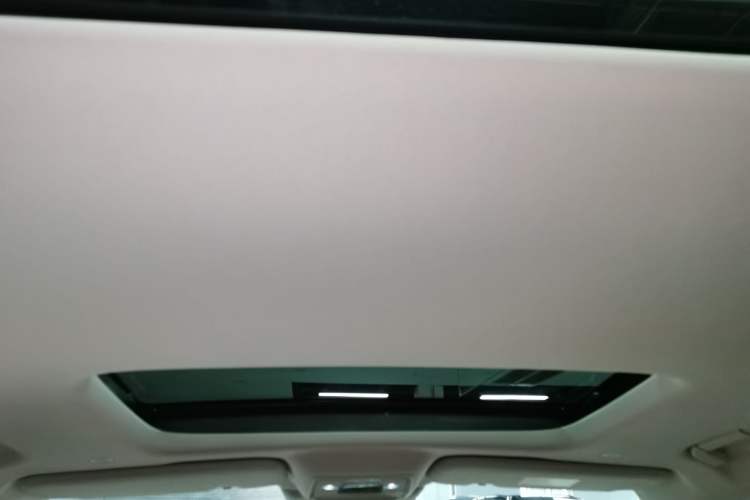 Used Denza D9 2023 DM-i 965 Luxury Model Headliner