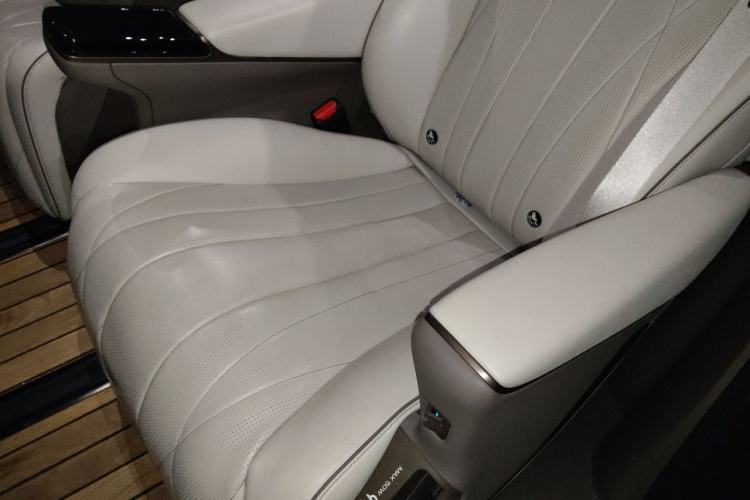 Used Denza D9 2023 DM-i 965 Luxury Model Left Rear Seat