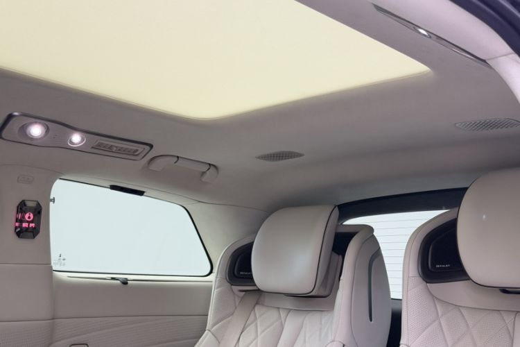 Used Denza D9 2023 PREMIER Founder Edition Interior 8