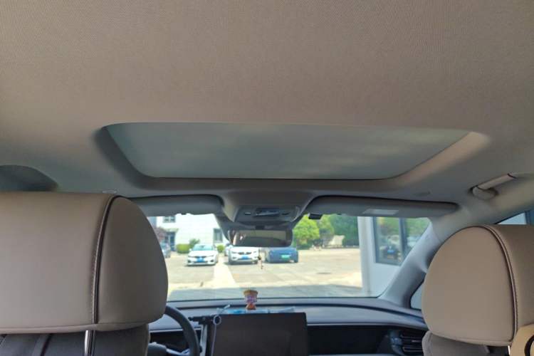 Used Denza D9 2023 DM-i 965 Luxury Model Headliner