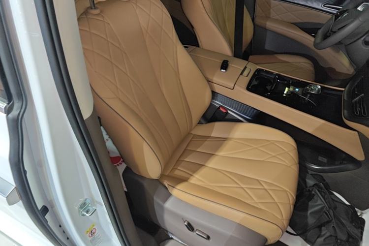 Used Denza D9 2023 DM-i 945 Business Edition Right Front Seat