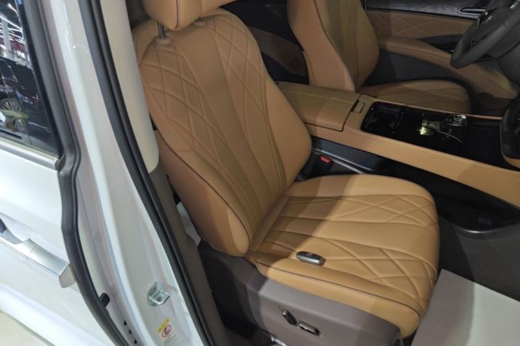 Used Denza D9 2023 DM-i 945 Business Edition Right Front Seat