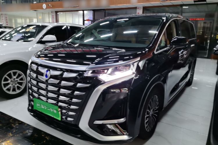 Denza D9 2024 DM-i 1050 Luxury Model