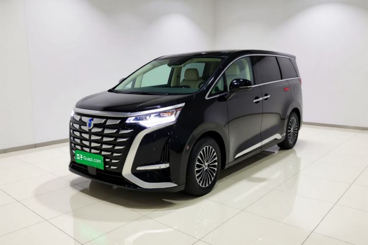 Denza D9 2024 DM-i 1050 Luxury Model