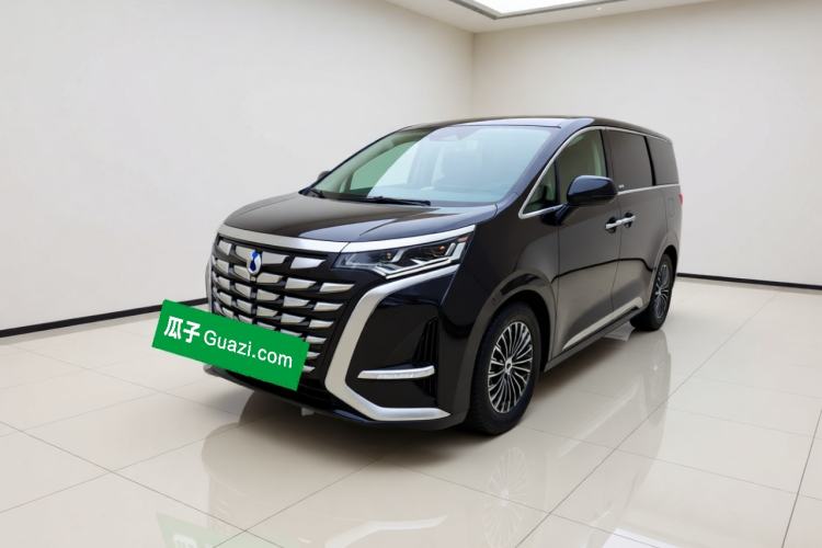 Denza D9 2024 DM-i 1050 Luxury Model