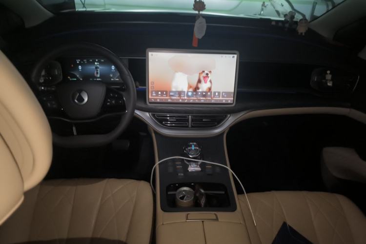 Used Denza D9 2024 DM-i 980 Four-Wheel Drive Prestige Model Center Console