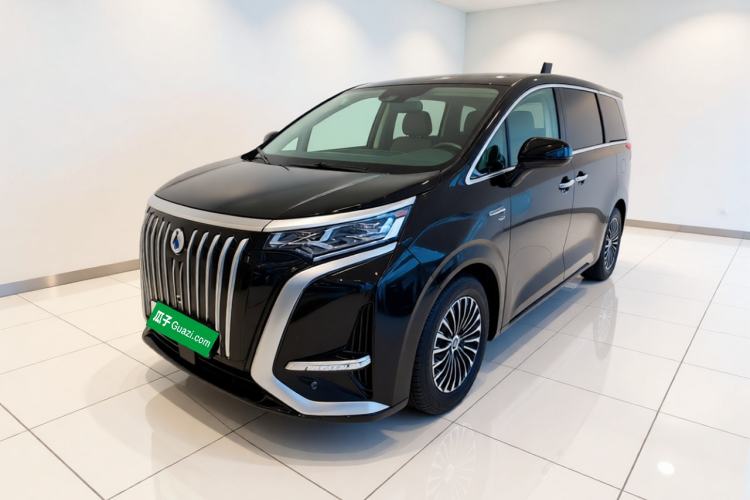 Denza D9 2024 EV 600 Four-Wheel-Drive Flagship Model