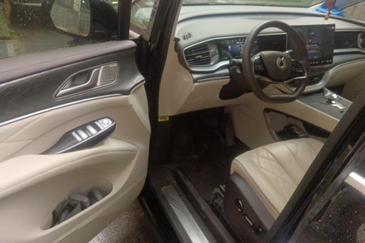 Used Denza D9 2024 DM-i 980 Four-Wheel Drive Prestige Model Driver Seat