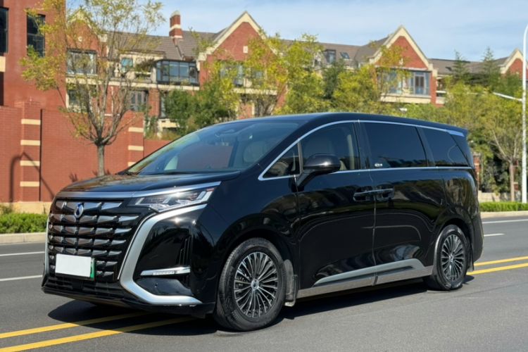 Denza D9 2024 DM-i 980 Four-Wheel Drive Prestige Model - Executive