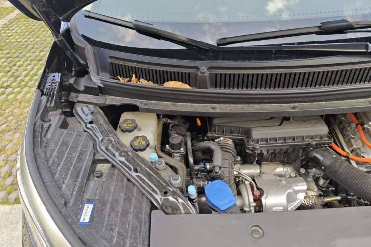 Used Denza D9 2024 DM-i 980 Four-Wheel Drive Prestige Model Engine Bay Right