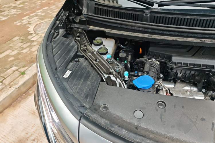 Used Denza D9 2024 DM-i 980 Four-Wheel Drive Prestige Model Engine Bay Right