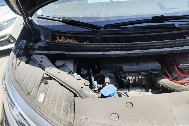 Used Denza D9 2024 DM-i 980 Four-Wheel Drive Prestige Model Engine Bay Right