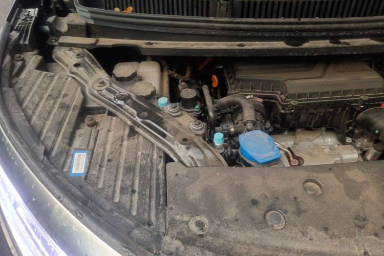 Used Denza D9 2024 DM-i 980 Four-Wheel Drive Prestige Model Engine Bay Right