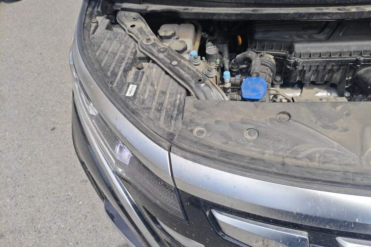 Used Denza D9 2024 DM-i 980 Four-Wheel Drive Prestige Model Engine Bay Right