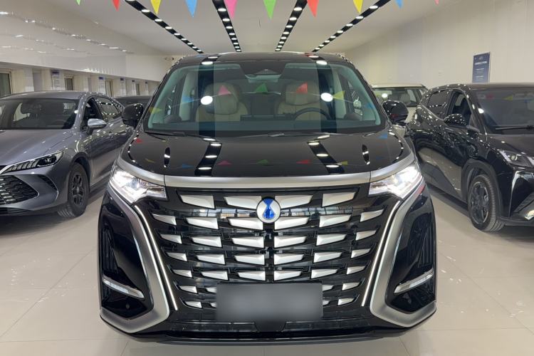 Used Denza D9 2024 DM-i 980 Four-Wheel Drive Prestige Model Exterior 1