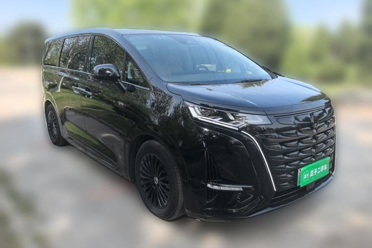 Used Denza D9 2024 DM-i 980 Four-Wheel Drive Flagship Model Exterior 1