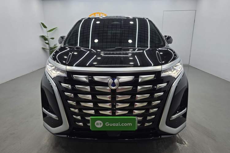 Used Denza D9 2024 DM-i 980 Four-Wheel Drive Prestige Model Exterior 1