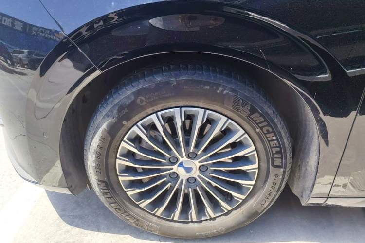 Used Denza D9 2024 DM-i 980 Four-Wheel Drive Flagship Model Exterior 4