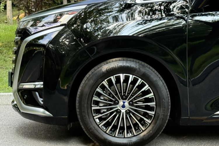 Used Denza D9 2024 DM-i 980 Four-Wheel Drive Prestige Model Exterior 4