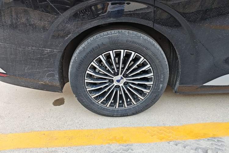 Used Denza D9 2024 DM-i 980 Four-Wheel Drive Prestige Model Exterior 5